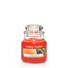 Orange Splash candela Yankee Candle giara piccola