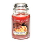 Frankincense candela Yankee Candle giara grande