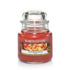 Frankincense candela Yankee Candle giara piccola
