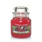 Red Raspberry candela Yankee Candle giara piccola