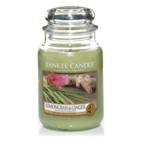 Lemongrass & Ginger candela Yankee Candle giara grande