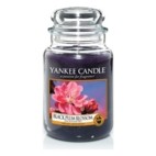 Black Plum Blossom candela Yankee Candle candela grande